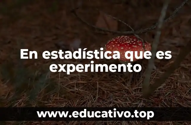 En estadística que es experimento