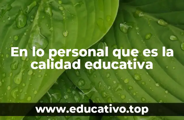 La visión individual sobre el aprendizaje efectivo