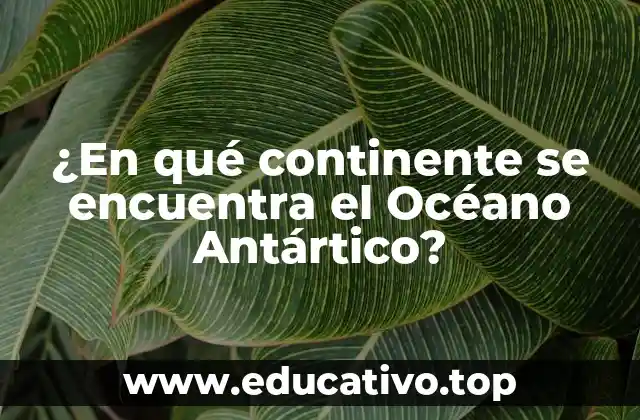 ¿En qué continente se encuentra el Océano Antártico?