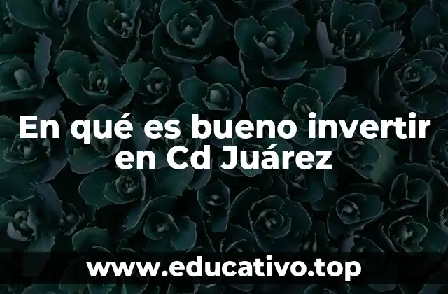 En qué es bueno invertir en Cd Juárez