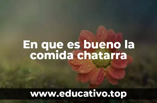 En que es bueno la comida chatarra