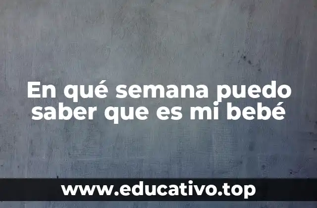 En qué semana puedo saber que es mi bebé