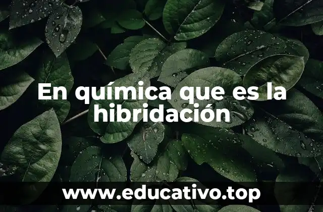 Cómo se explica la geometría molecular a través de la hibridación