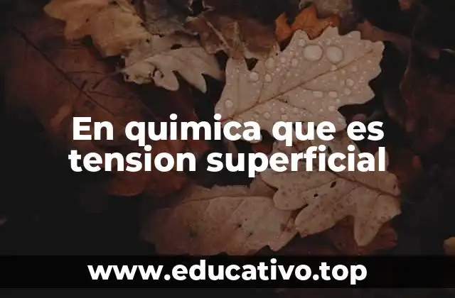 En quimica que es tension superficial