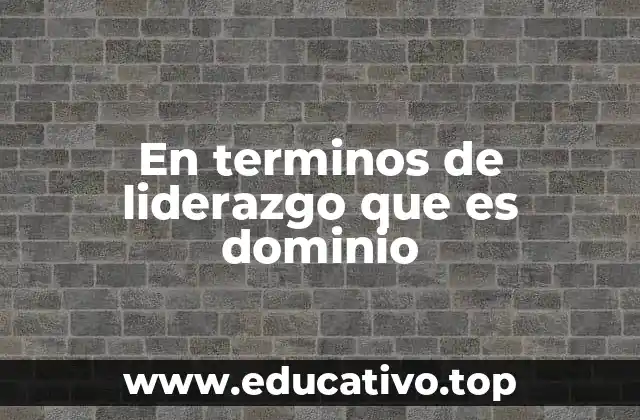 En terminos de liderazgo que es dominio