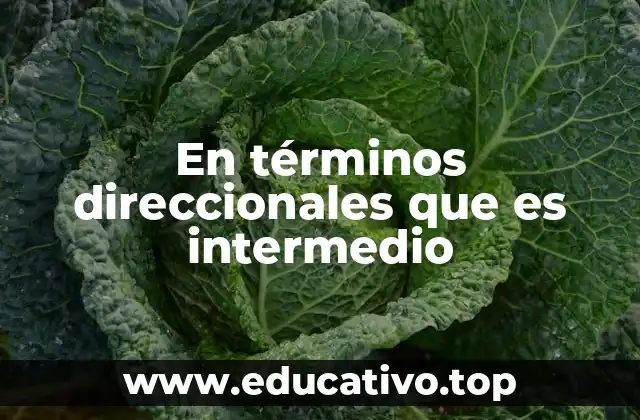 En términos direccionales que es intermedio