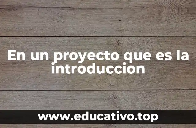 En un proyecto que es la introduccion