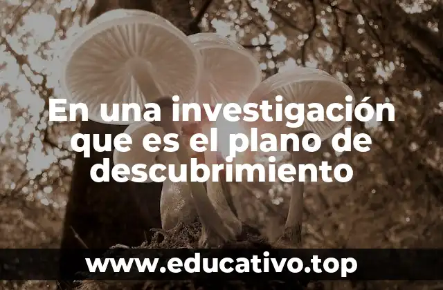 En una investigación que es el plano de descubrimiento