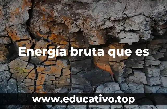 Energía bruta que es