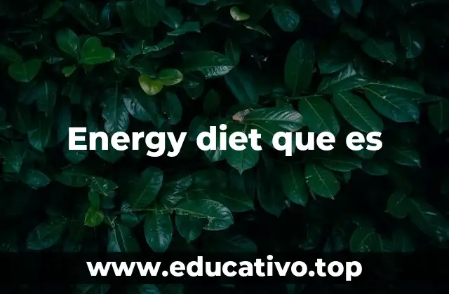 Energy diet que es
