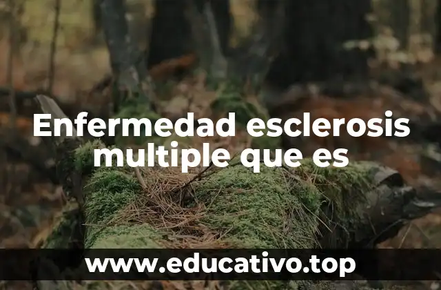 Enfermedad esclerosis multiple que es