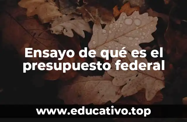 Ensayo de qué es el presupuesto federal