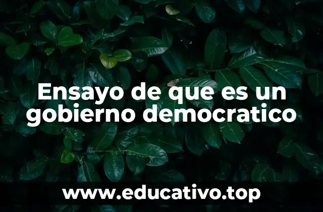 La importancia de la participación ciudadana en un sistema democrático