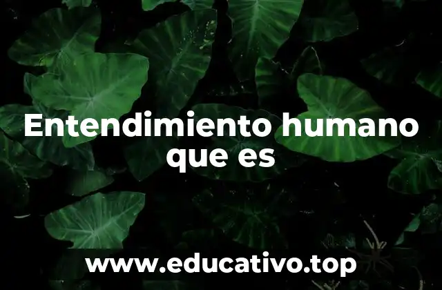 La importancia del entendimiento en la evolución humana