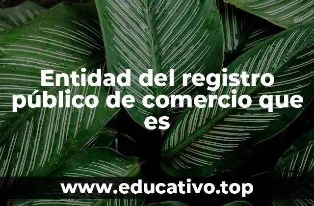 Entidad del registro público de comercio que es