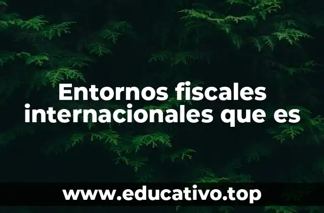 Entornos fiscales internacionales que es
