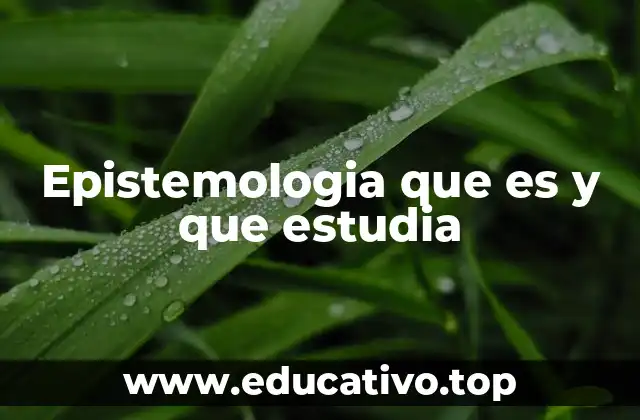 Epistemologia que es y que estudia