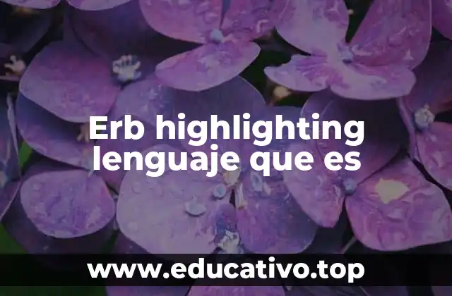 Erb highlighting lenguaje que es