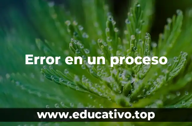 Error en un proceso