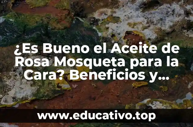 ¿Es Bueno el Aceite de Rosa Mosqueta para la Cara? Beneficios y Cuidado de la Piel