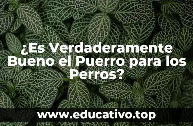 ¿Es Verdaderamente Bueno el Puerro para los Perros?