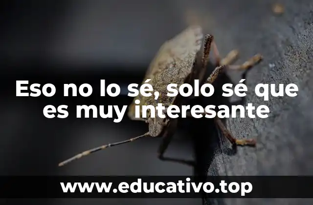 La importancia de reconocer lo desconocido en la toma de decisiones