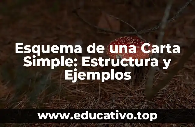 Esquema de una Carta Simple: Estructura y Ejemplos