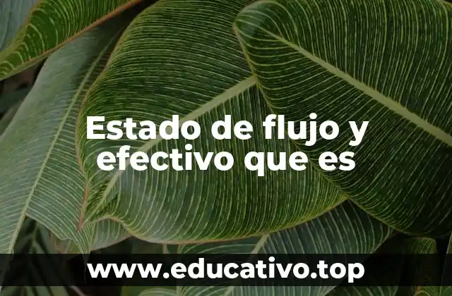 La importancia de equilibrar concentración y recursos