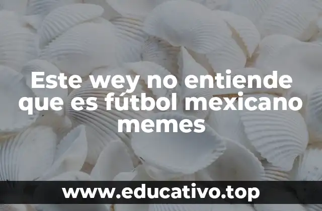 Este wey no entiende que es fútbol mexicano memes