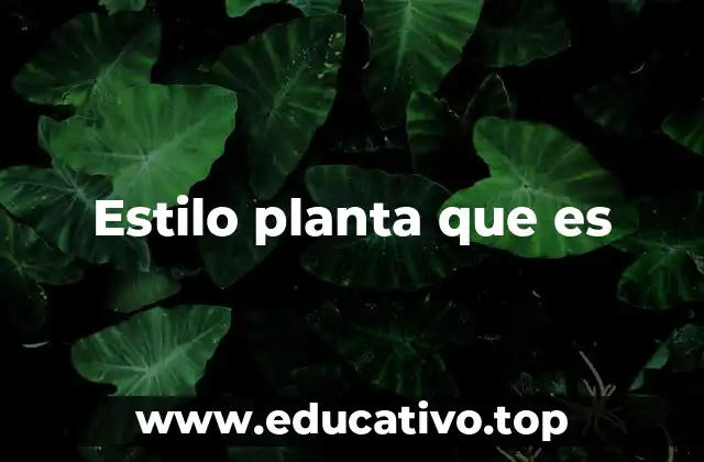 Estilo planta que es