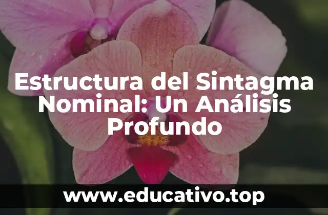 Definición y Componentes de la Estructura del Sintagma Nominal