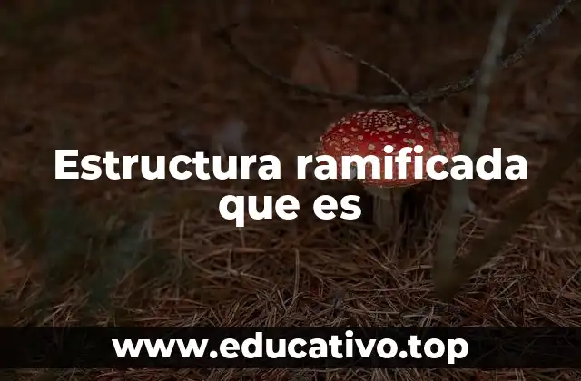 Estructura ramificada que es