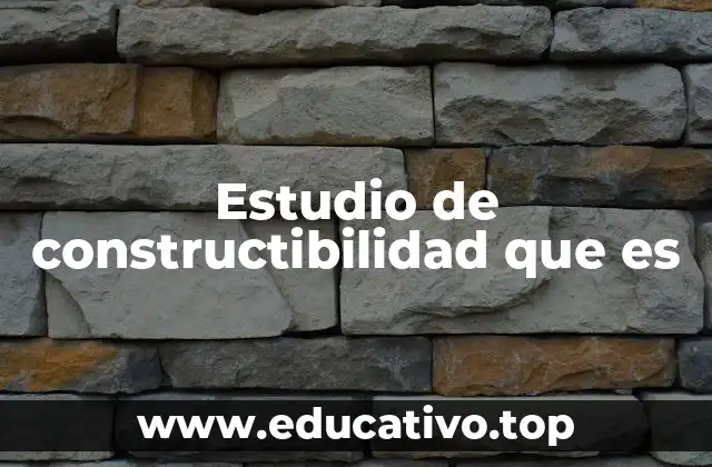 Estudio de constructibilidad que es