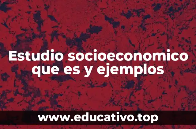 Estudio socioeconomico que es y ejemplos
