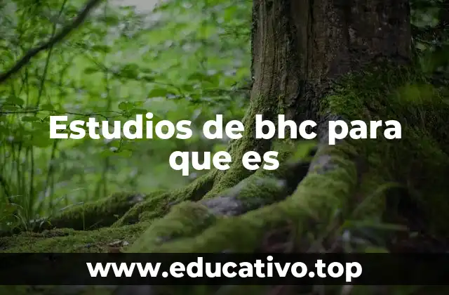 Estudios de bhc para que es