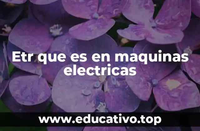 Etr que es en maquinas electricas