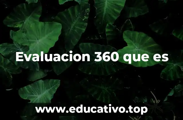 La importancia de ver el desempeño desde múltiples ángulos