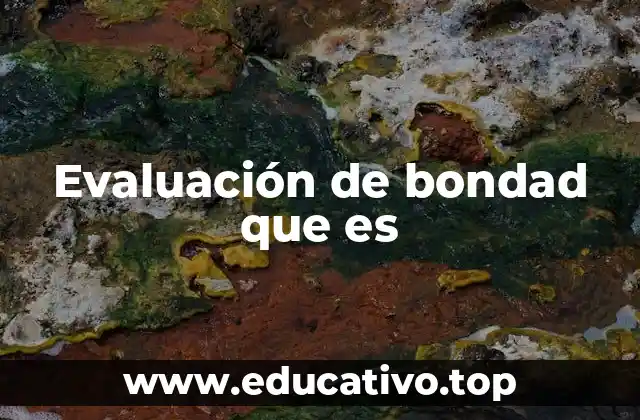 Evaluación de bondad que es