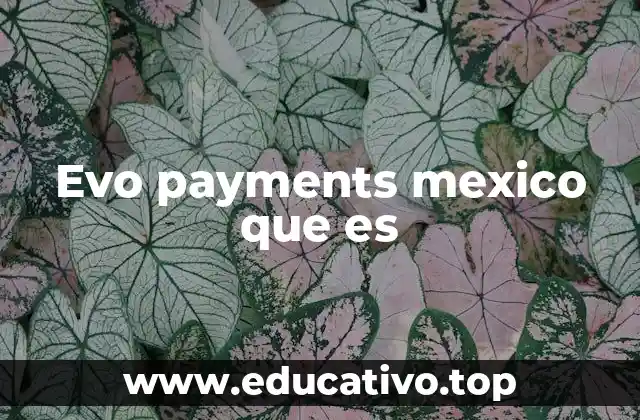 Evo payments mexico que es