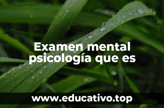 Examen mental psicología que es