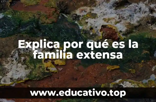 Explica por qué es la familia extensa