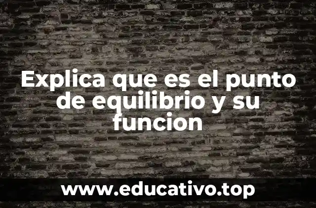 Explica que es el punto de equilibrio y su funcion