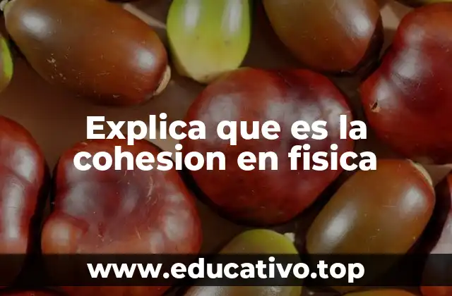 Explica que es la cohesion en fisica