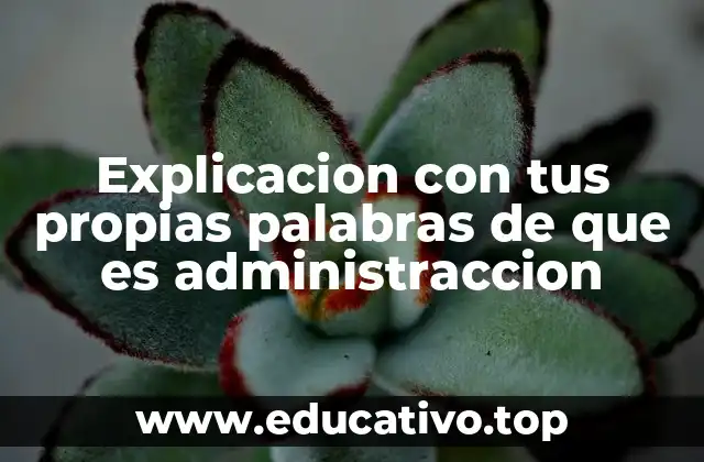Explicacion con tus propias palabras de que es administraccion
