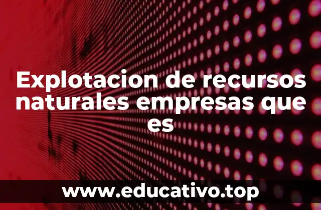 Explotacion de recursos naturales empresas que es