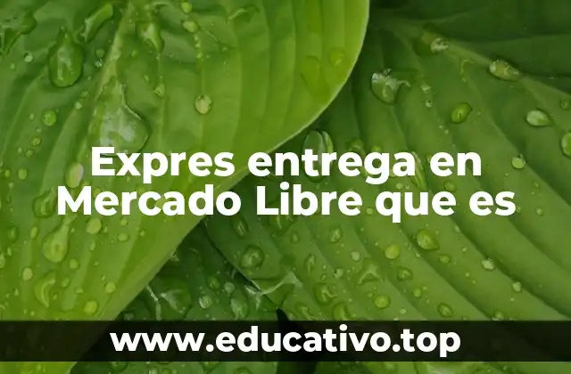 Expres entrega en Mercado Libre que es