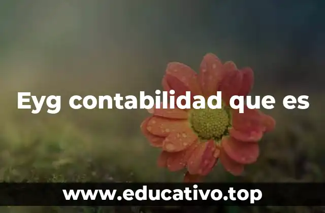 Eyg contabilidad que es
