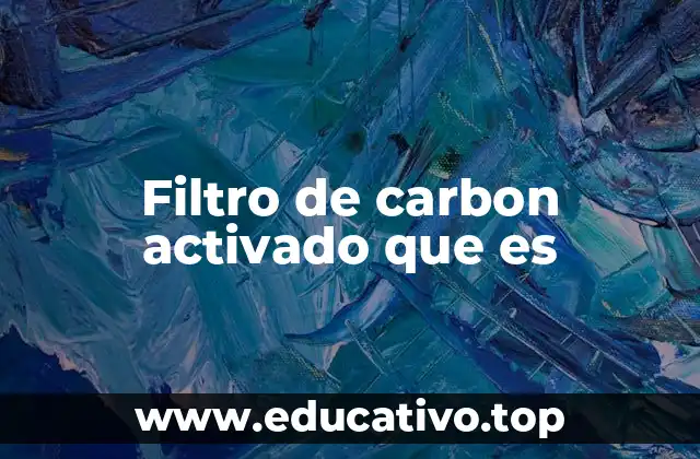 Filtro de carbon activado que es