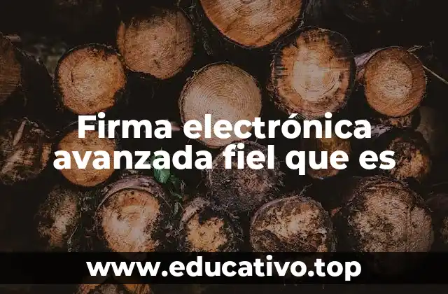 Firma electrónica avanzada fiel que es