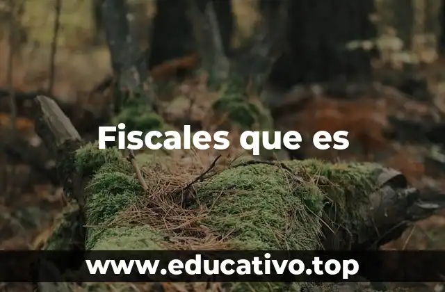 El papel de los fiscales en el sistema judicial